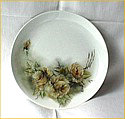 Porcelain