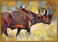 Water Buffalo
