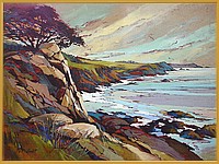 Looking from Salt Point State Park