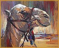 Camel Close-up